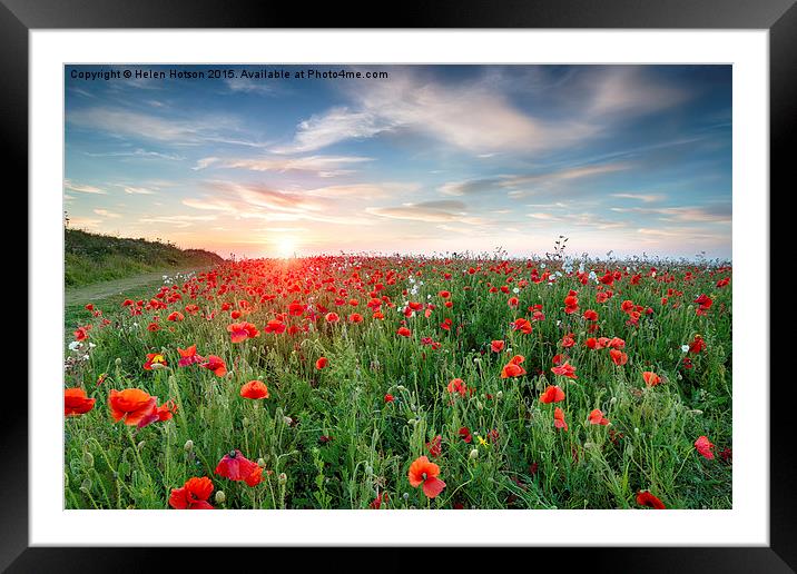 Poppy Fields in Cornwall Framed Mounted Print by Helen Hotson