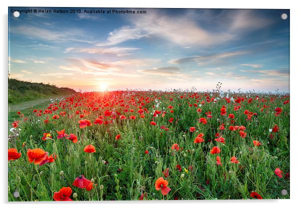 Poppy Fields in Cornwall Acrylic by Helen Hotson