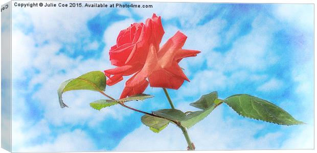 Single Red Rose Canvas Print by Julie Coe