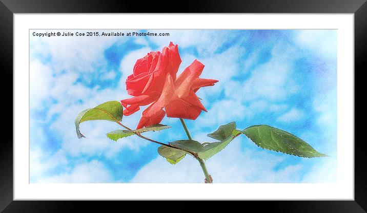Single Red Rose Framed Mounted Print by Julie Coe