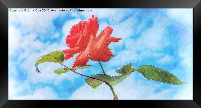 Single Red Rose Framed Print by Julie Coe