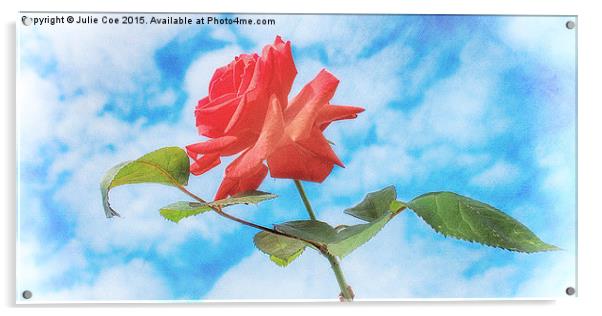 Single Red Rose Acrylic by Julie Coe