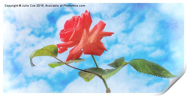 Single Red Rose Print by Julie Coe