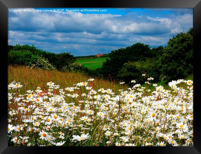  june in bloom Framed Print by carl blake