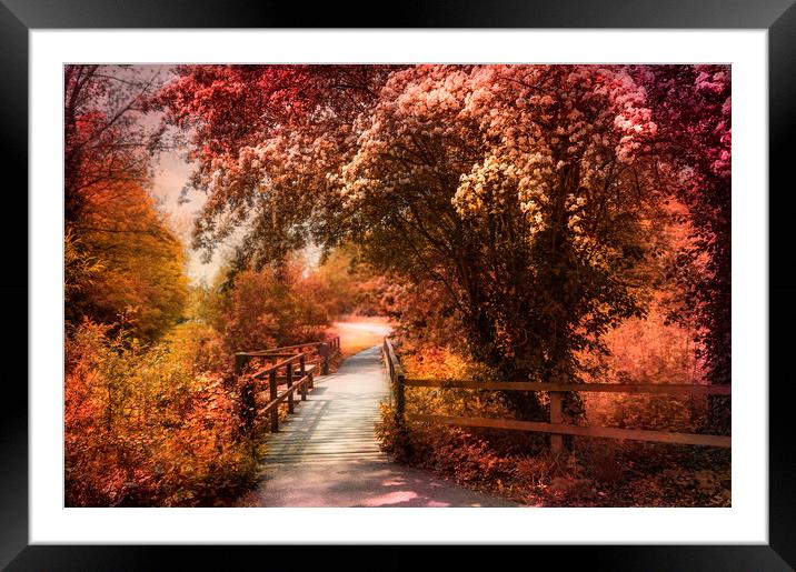  Autumn Path Framed Mounted Print by Svetlana Sewell