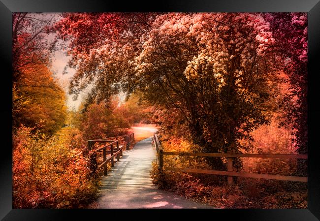  Autumn Path Framed Print by Svetlana Sewell