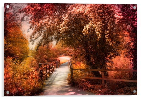  Autumn Path Acrylic by Svetlana Sewell