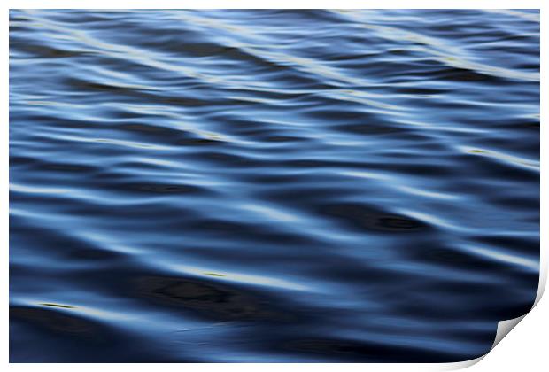 Cool Water  Print by Tim Bell