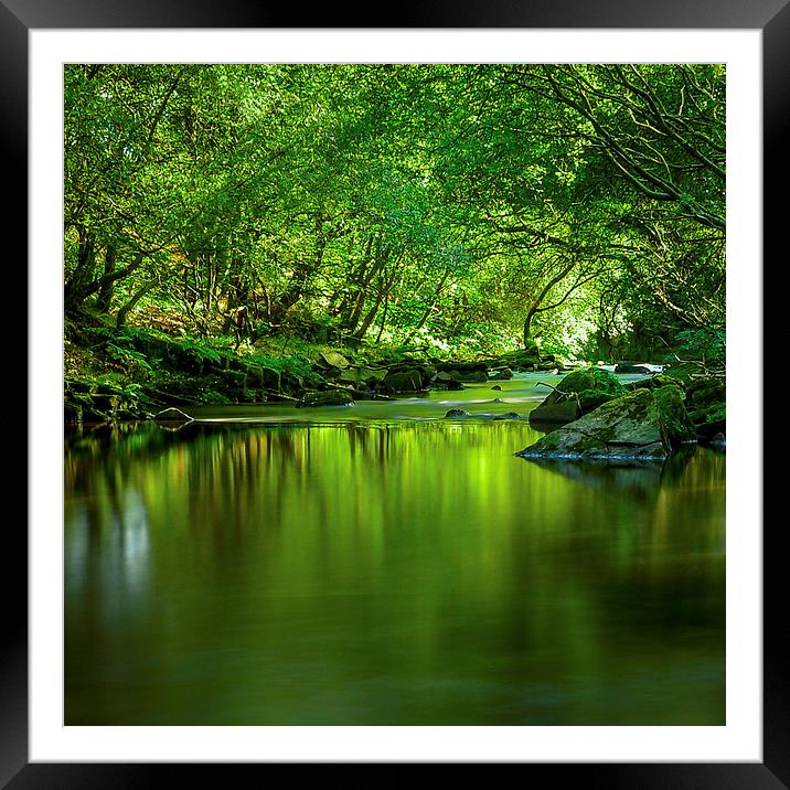  Green Framed Mounted Print by David Schofield