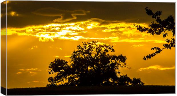  golden sky Canvas Print by keith sutton
