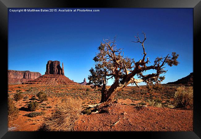 Desert tranquility Framed Print by Matthew Bates