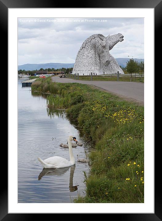  the Kelpies in Helix Park , Scotland   Framed Mounted Print by Photogold Prints