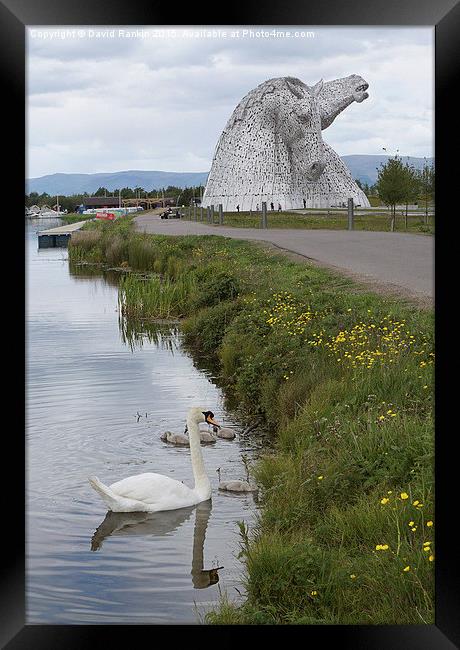  the Kelpies in Helix Park , Scotland   Framed Print by Photogold Prints