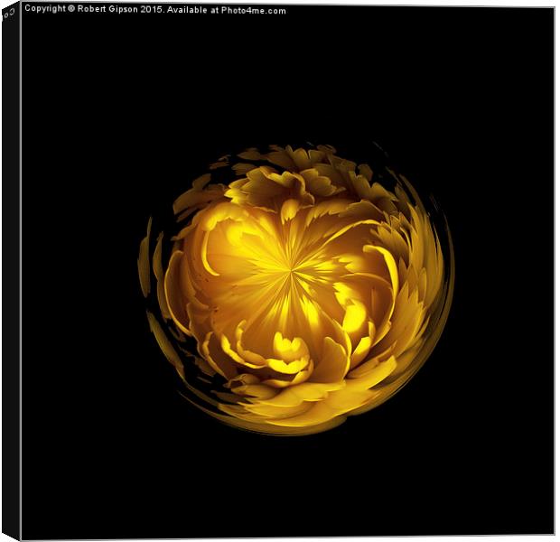  Yellow flower orb on black Canvas Print by Robert Gipson