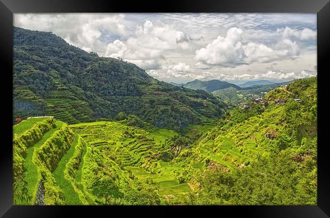  Banaue Rice Terraces Framed Print by Clive Eariss