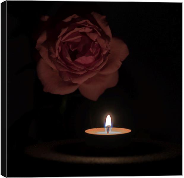 Rose Candle Canvas Print by Adrian Bud