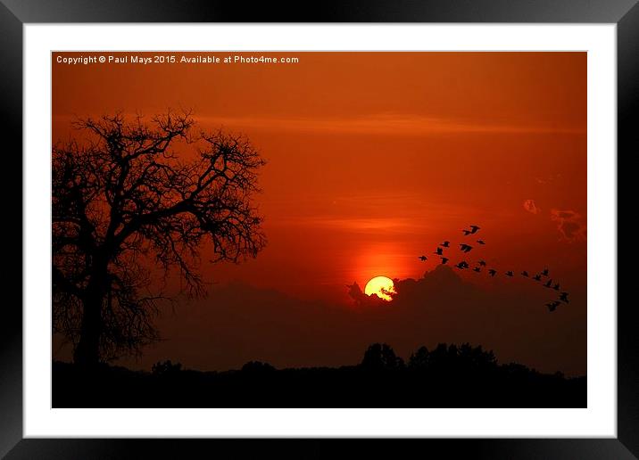  Kentucky Sunset Framed Mounted Print by Paul Mays