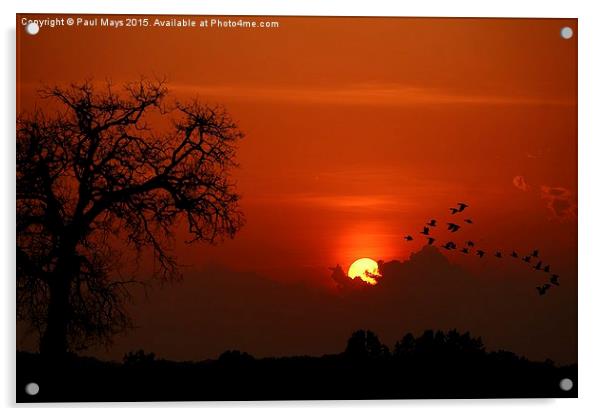  Kentucky Sunset Acrylic by Paul Mays