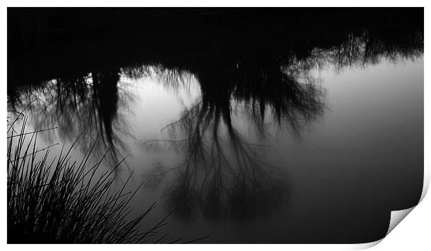 lake reflection Print by jon betts