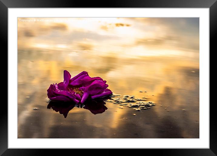  summer reflections  Framed Mounted Print by Matthew  knight