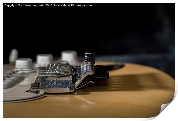  Fender Strat Guitar  Print by christopher gould