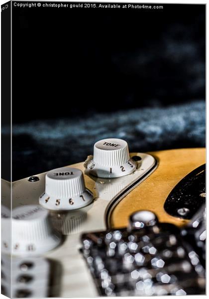  Guitar controll knobs Canvas Print by christopher gould