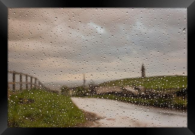 Through the Rain Framed Print by Jeni Harney