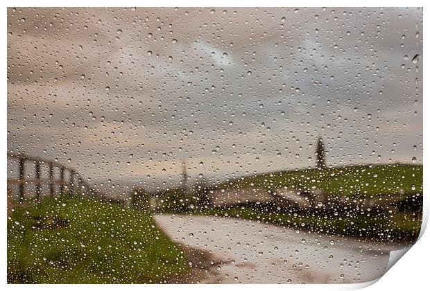 Through the Rain Print by Jeni Harney