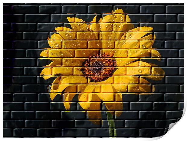 Yellow Wall Flower Print by C.C Photography