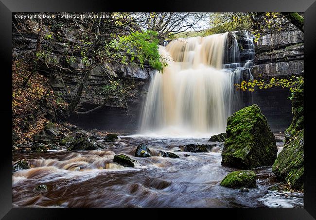 Summerhill Force and Gibson's Cave Teesdale Framed Print by David Forster