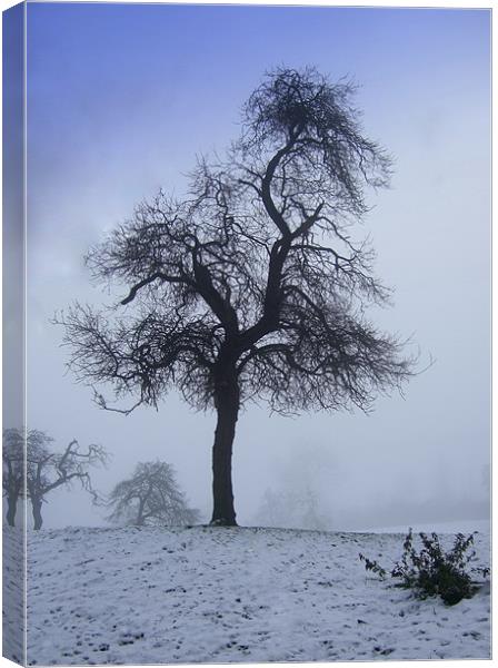 A Derbyshire winter scene Canvas Print by Pete Holloway