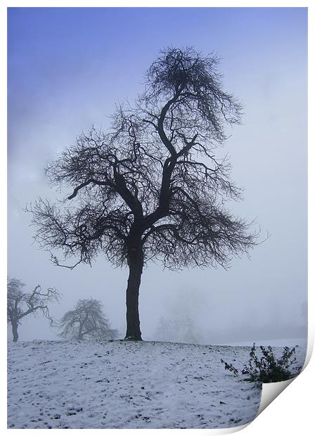 A Derbyshire winter scene Print by Pete Holloway