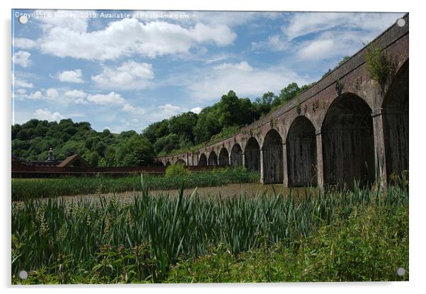 Coalbrookdale Railway Viaduct Acrylic by rawshutterbug 