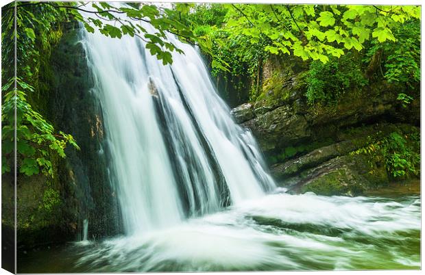 Janet's Foss Waterfall, Gordale Canvas Print by David Ross