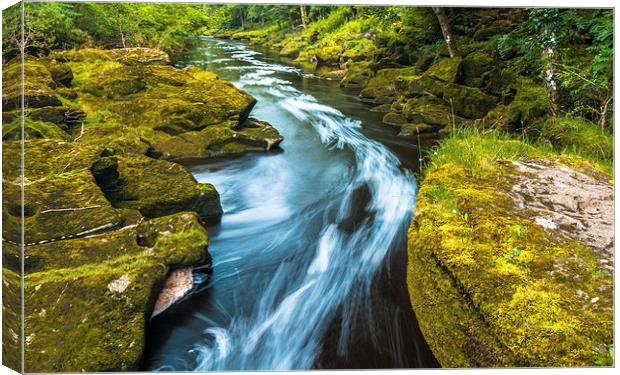 The Strid, River Wharfe, Yorkshire Canvas Print by David Ross