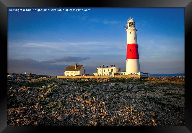 The Lighthouse at Portland Bill Framed Print by Sue Knight