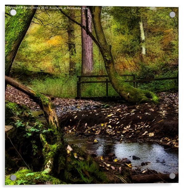  Stocksfield Woods Northumberland Acrylic by David Irving