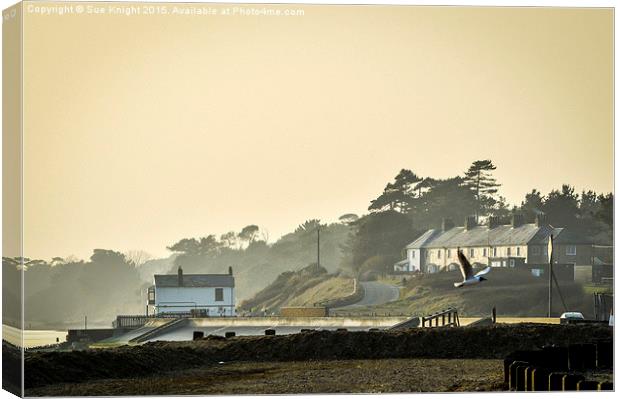  Coastguard cottages and boat house at Lepe, Hamps Canvas Print by Sue Knight