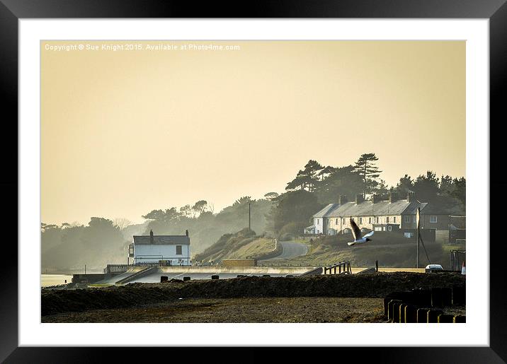  Coastguard cottages and boat house at Lepe, Hamps Framed Mounted Print by Sue Knight