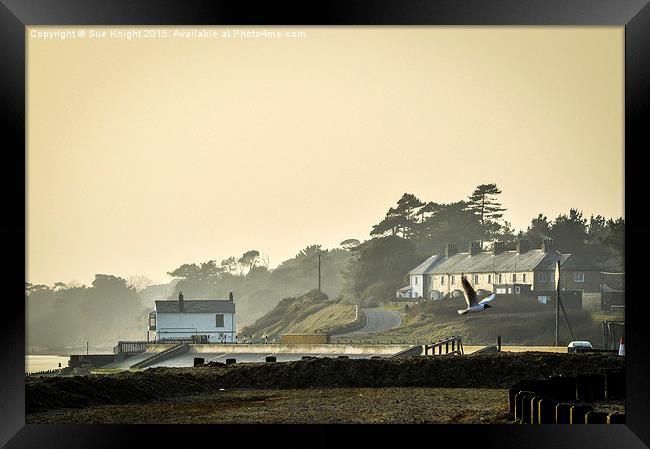  Coastguard cottages and boat house at Lepe, Hamps Framed Print by Sue Knight