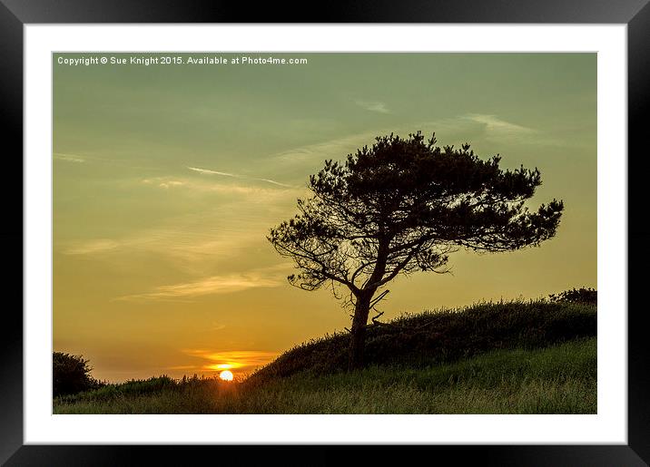  Sunset at Littlesea Framed Mounted Print by Sue Knight
