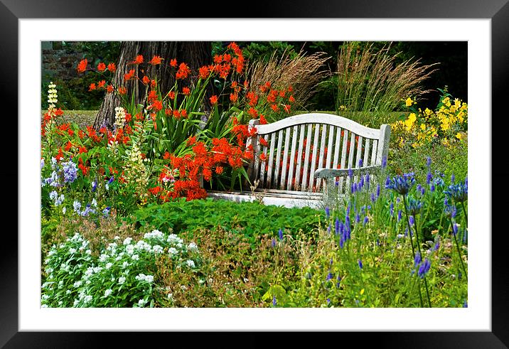 Harmony Gardens, Melrose, Scottish Borders Framed Mounted Print by David Ross