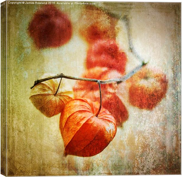 String of Lanterns Canvas Print by James Rowland
