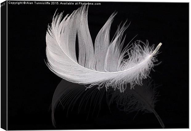  White feather Canvas Print by Alan Tunnicliffe