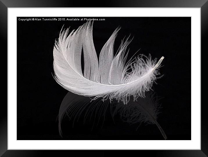  White feather Framed Mounted Print by Alan Tunnicliffe