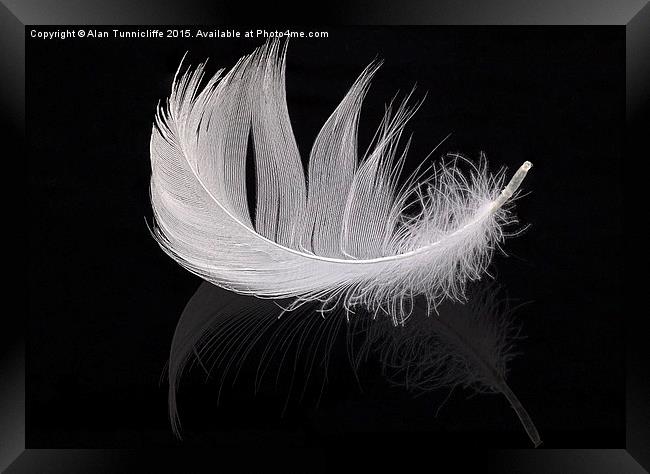 White feather Framed Print by Alan Tunnicliffe