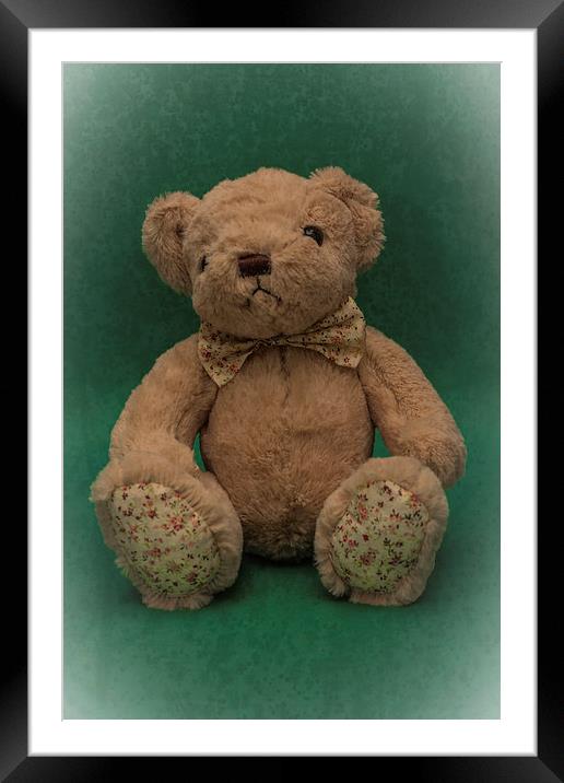 Teddy Bear Green Framed Mounted Print by Steve Purnell