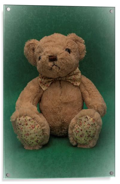 Teddy Bear Green Acrylic by Steve Purnell