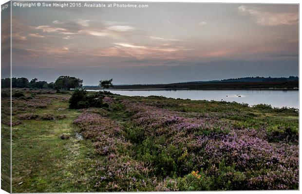  A view across Hatchet pond,New Forest Canvas Print by Sue Knight
