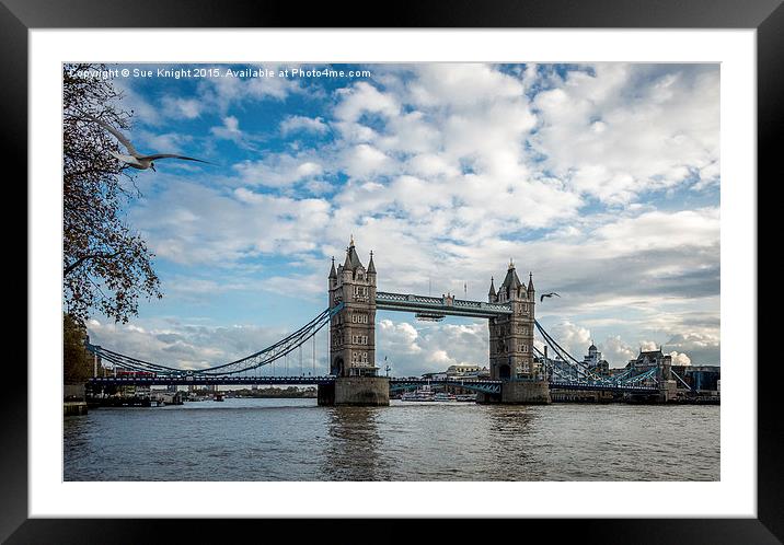  Tower Bridge,London Framed Mounted Print by Sue Knight